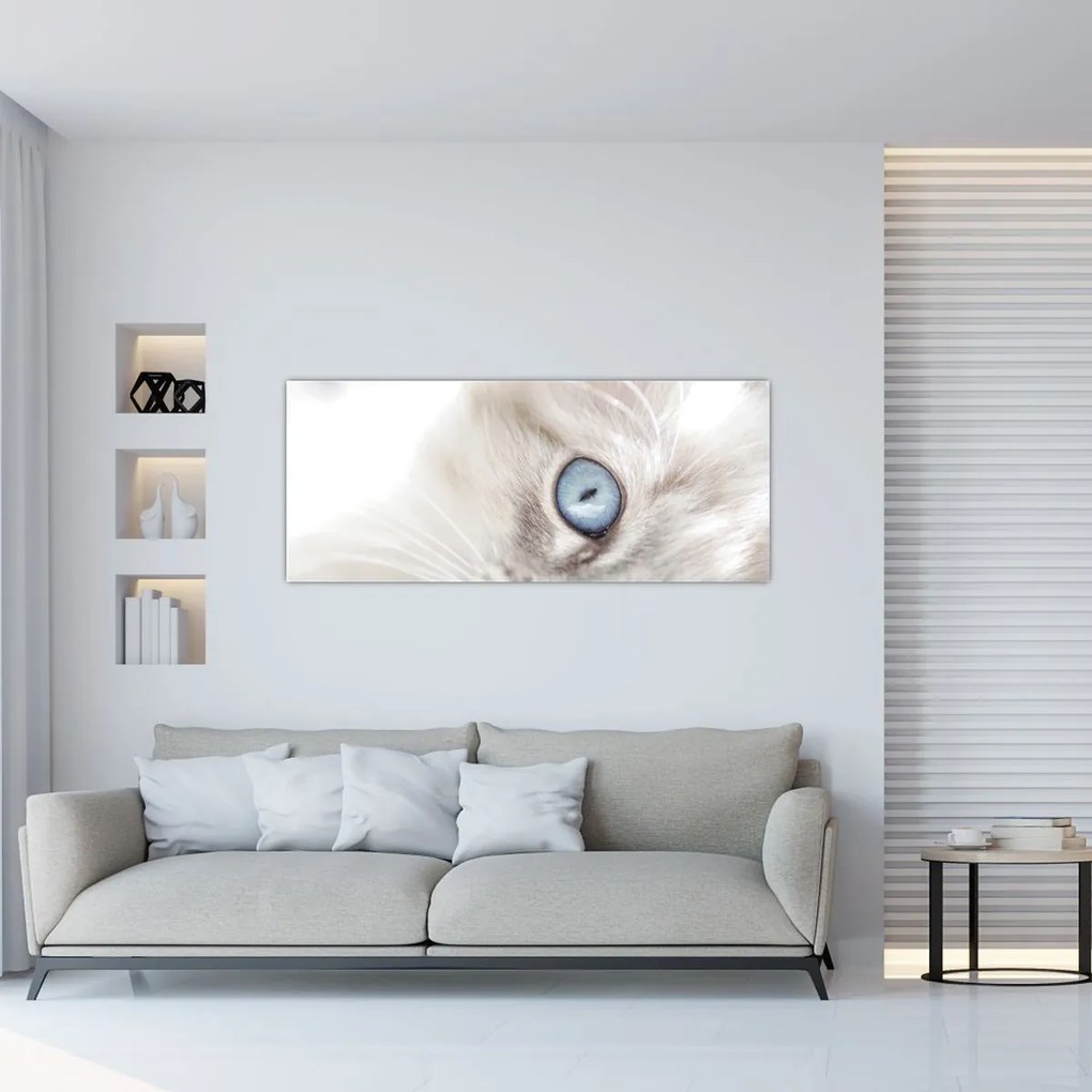 Obraz - Mačka s modrými očami (120x50 cm)