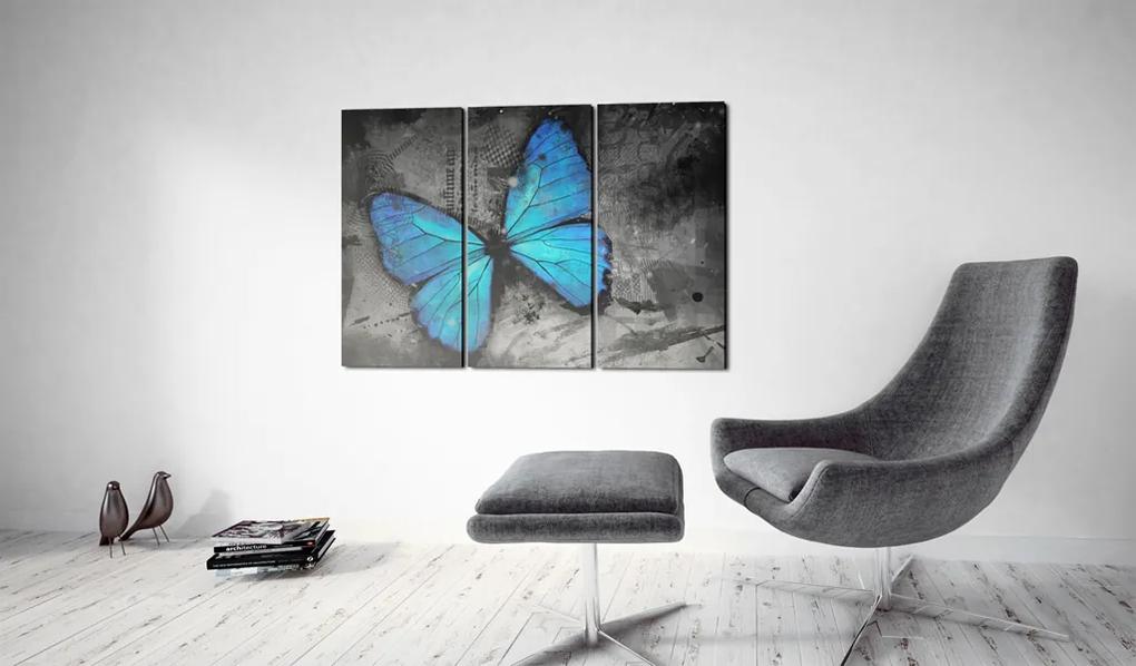 Artgeist Obraz - The study of butterfly - triptych Veľkosť: 120x80, Verzia: Na talianskom plátne