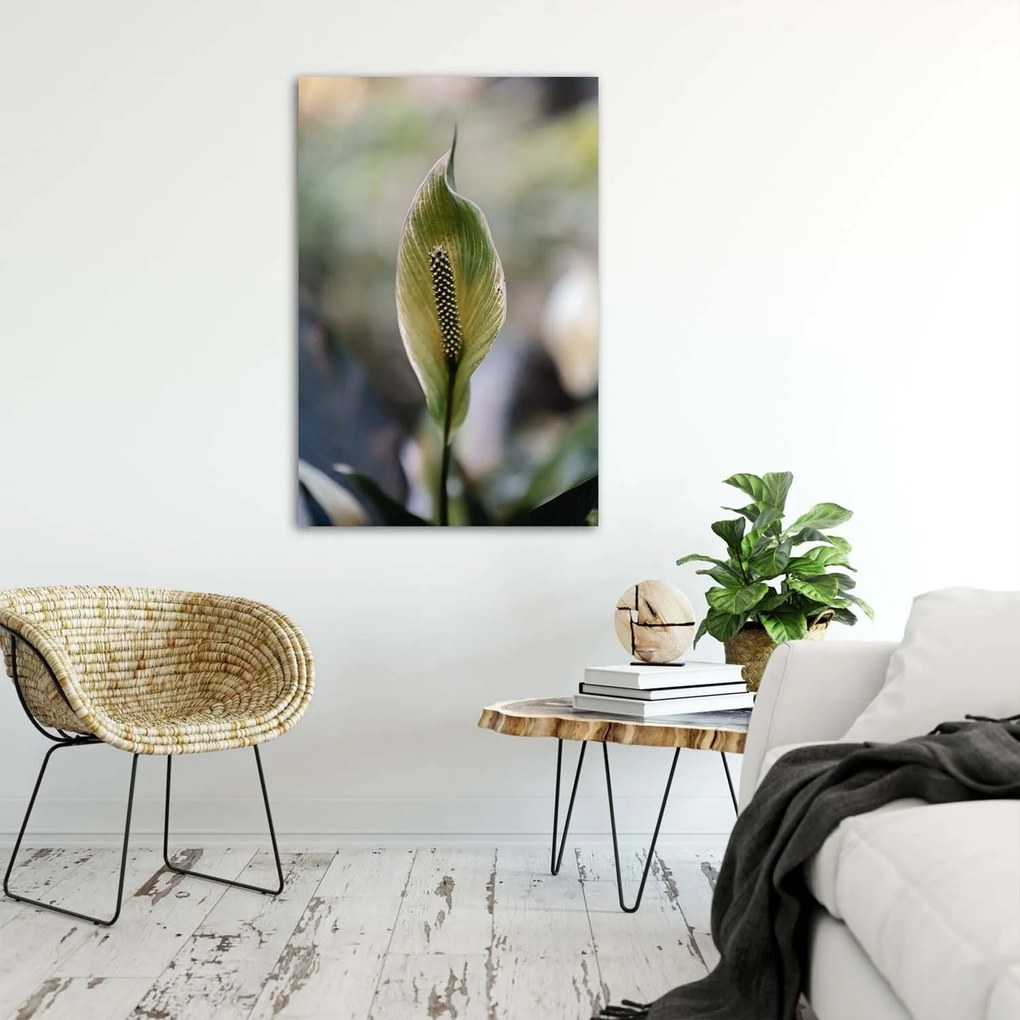 Gario Plagát Zaujímavá exotická rastlina Farba rámu: Bez rámu, Rozmery: 40 x 60 cm