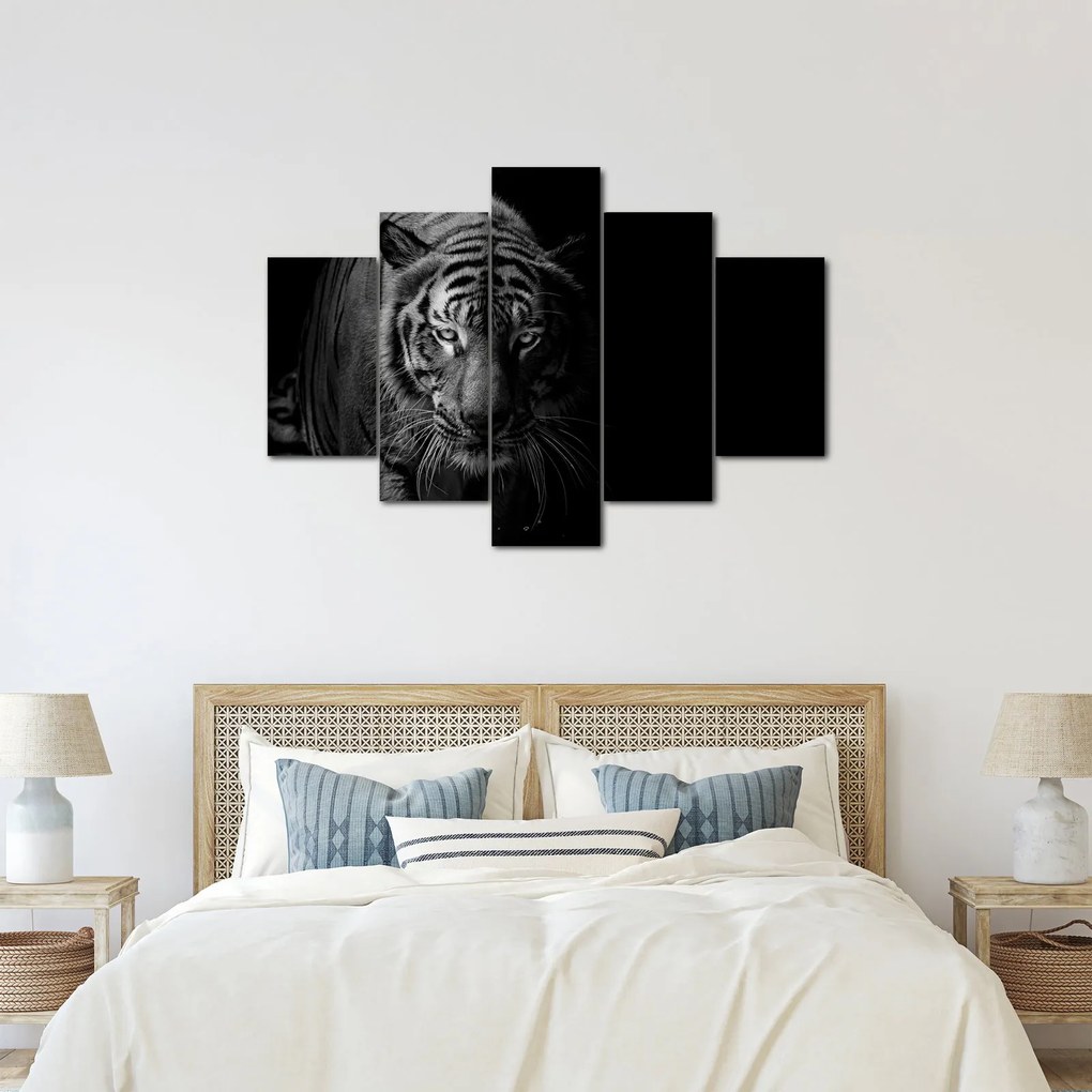Obraz divokého tigra (150x105 cm)
