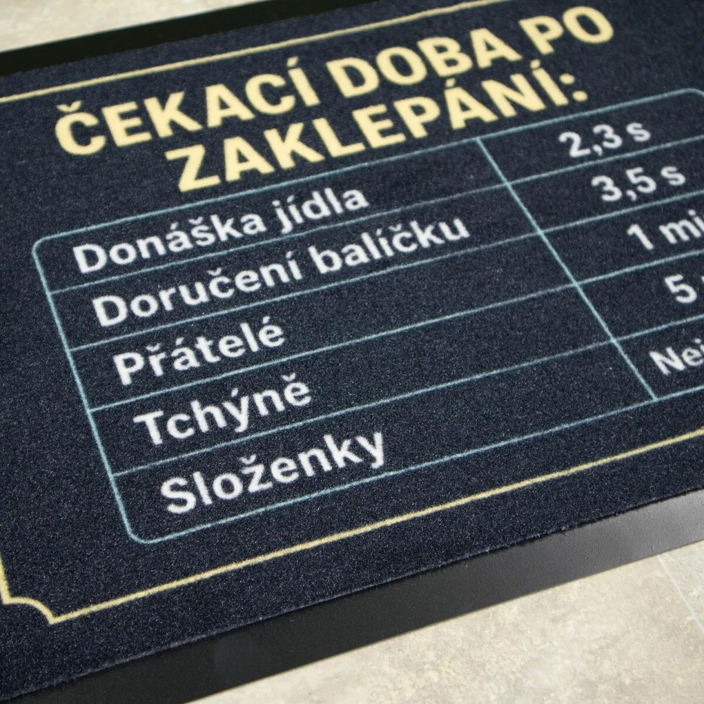 Mercury Flooring, Rohožka Čakacia doba 40x60 cm - na von aj na doma, 40x60, čierna