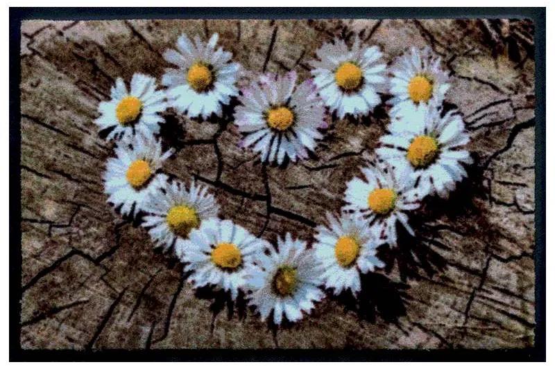 Kvety a listy premium rohožka -kvetinové srdce (Vyberte veľkosť: 60*40 cm)