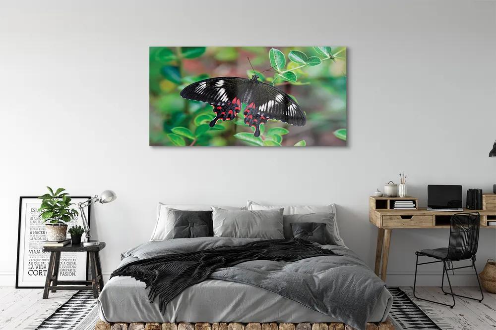 Obraz na akrylátovom skle List farebný motýľ 140x70 cm