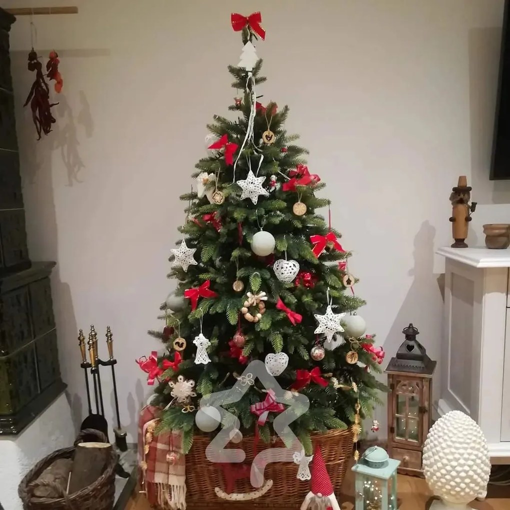 Smrek Tajga 3D 220 cm