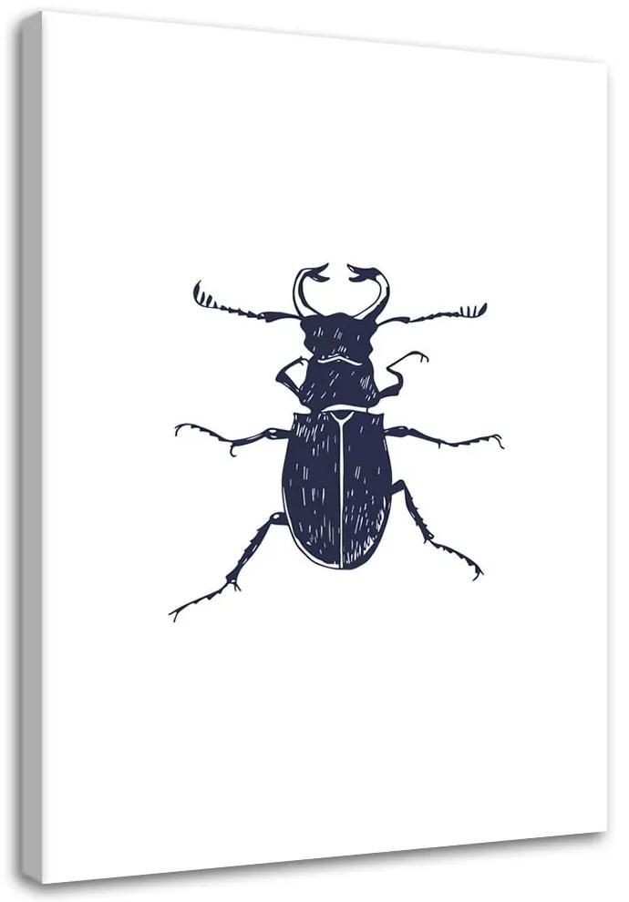 Gario Obraz na plátne Čierny chrobák Rozmery: 40 x 60 cm