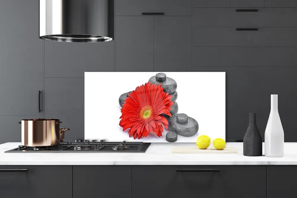 Sklenený obklad Do kuchyne Kvety gerbery kamene zen 120x60 cm