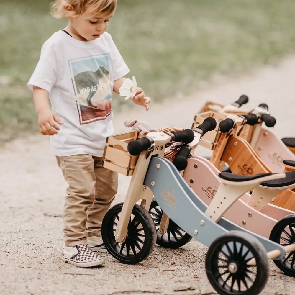 Drevené balančné odrážadlo Tiny Tot Plus 2v1 modrá