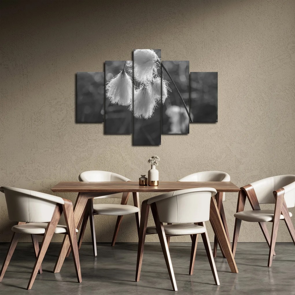 Obraz - Cottongrass (150x105 cm)