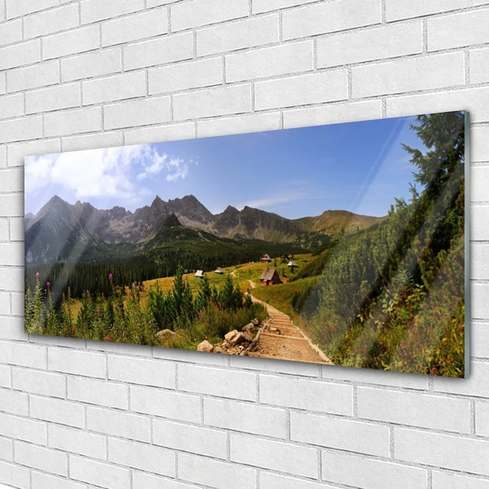 Obraz plexi Hala góry droga natura łąka 125x50 cm
