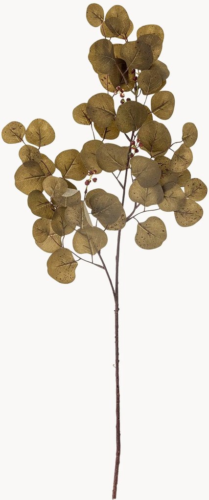 Rastlinné dekorácie Eucalyptus, 3 ks