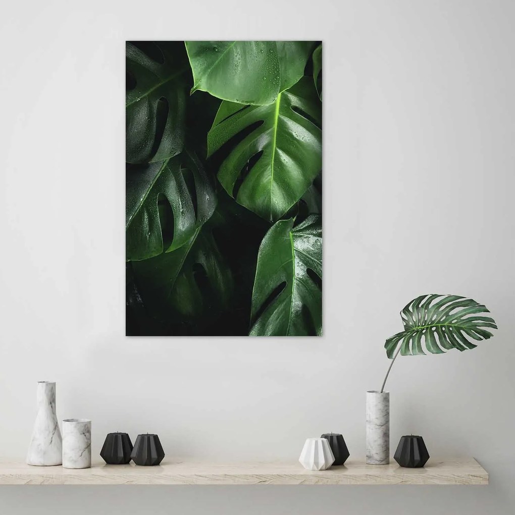 Gario Plagát Módne listy monstery Farba rámu: Čierna, Rozmery: 70 x 100 cm