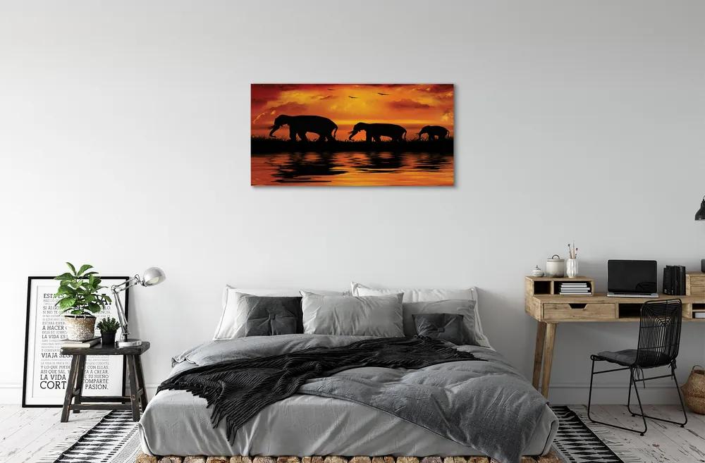Obraz canvas slony West Lake 120x60 cm