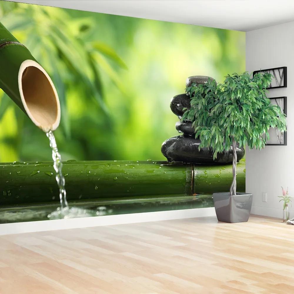 Fototapeta Vliesová Bambusová fontána 152x104 cm