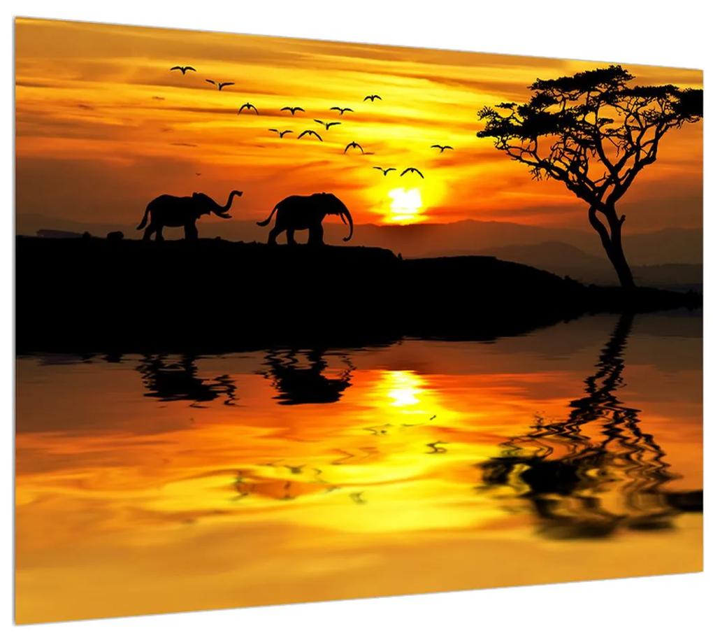 Obraz africkej krajiny so slonom (70x50 cm)