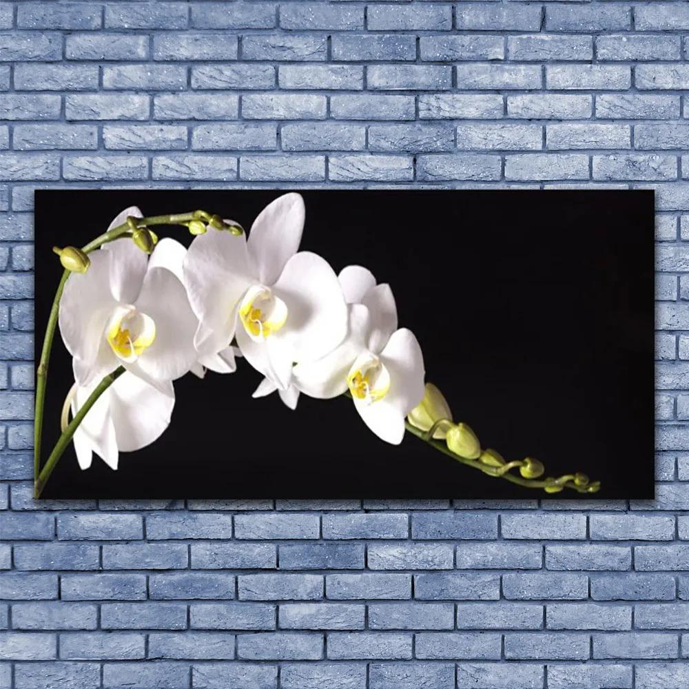 Obraz na akrylátovom skle Kvety rastlina 120x60 cm