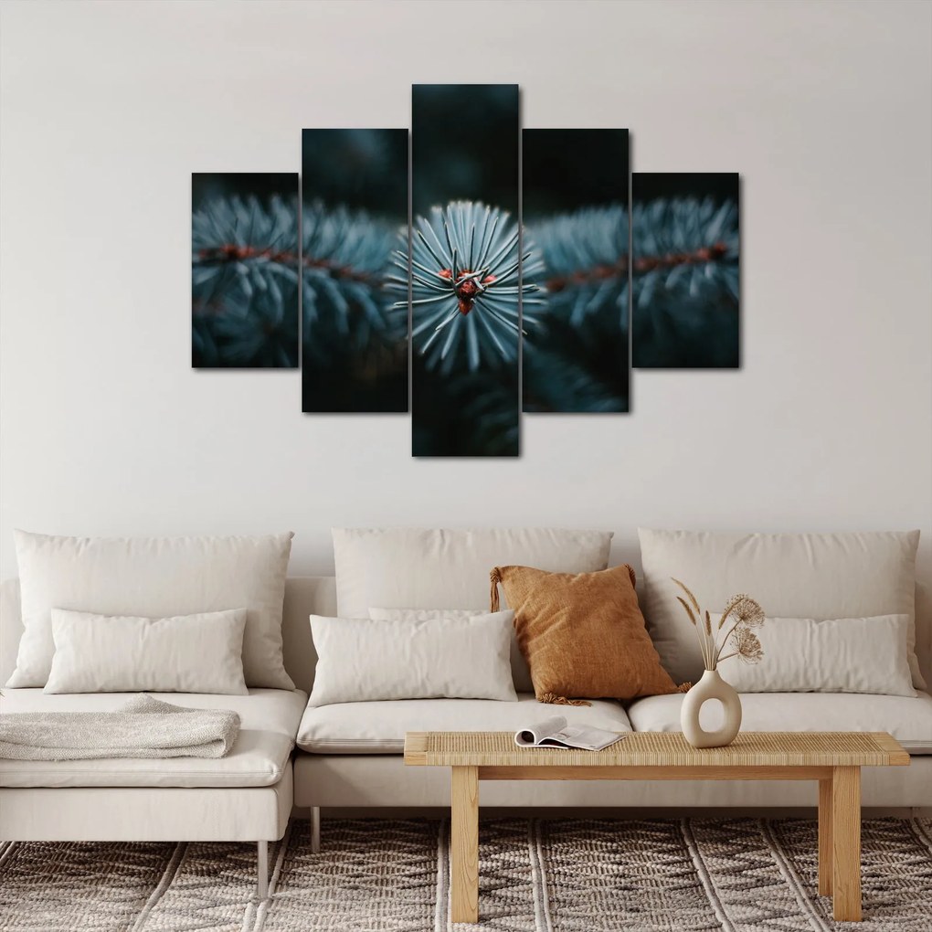 Obraz vetvičky ihličnatého stromu (150x105 cm)