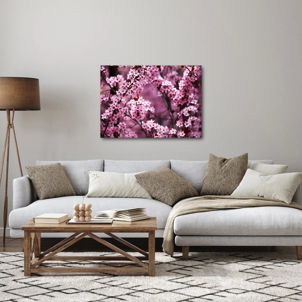 Obraz - Ružová sakura (70x50 cm)