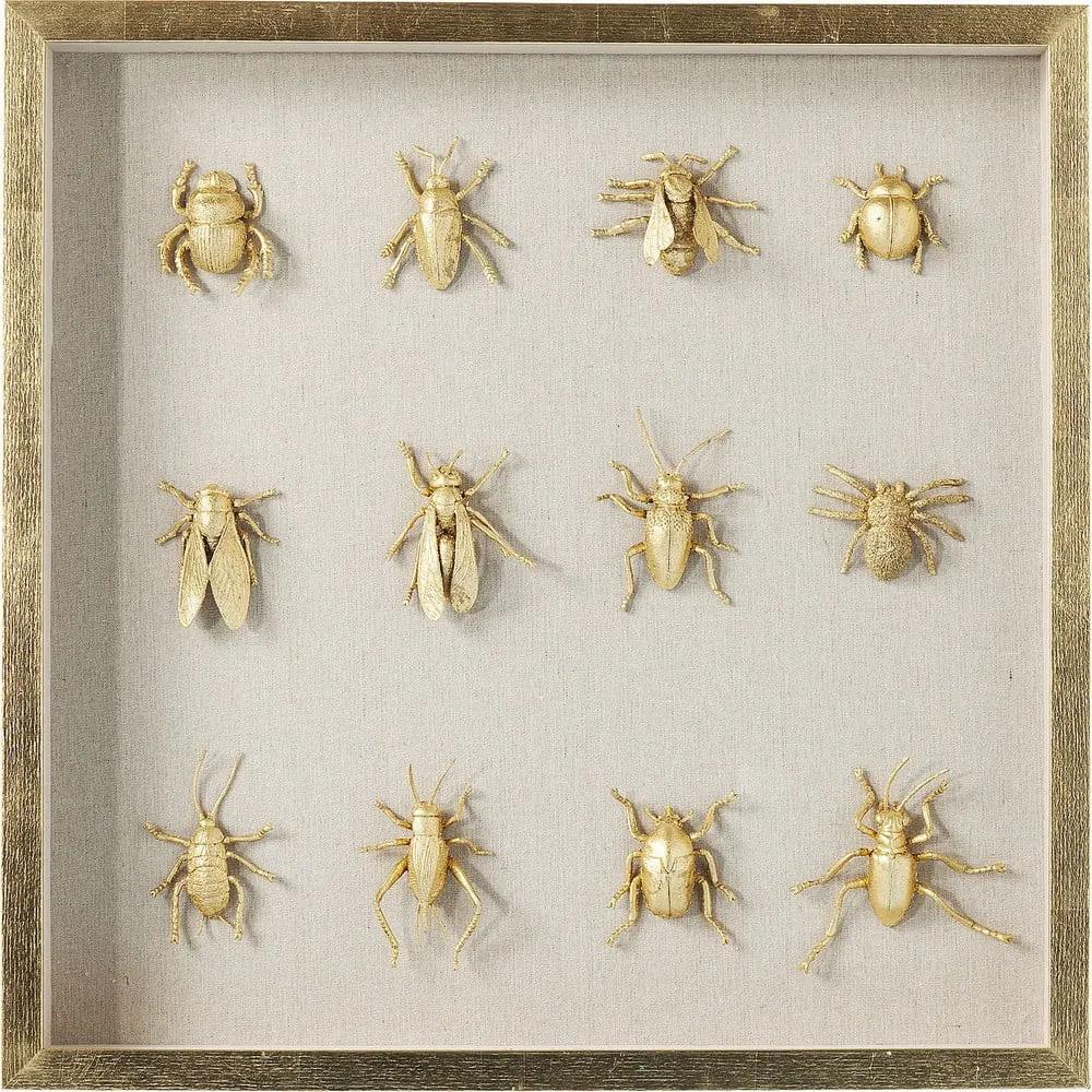 Nástenný obraz zbierka chrobákov Kare Design