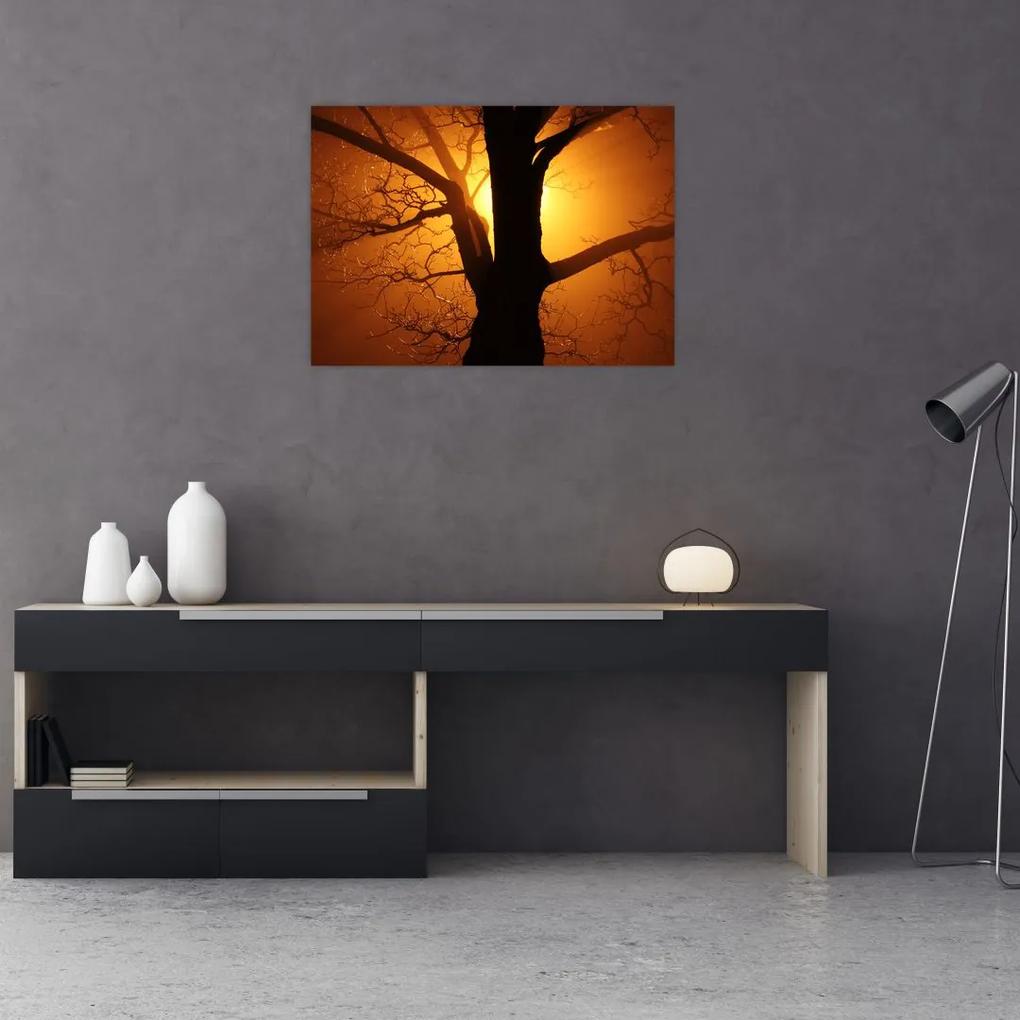 Obraz stromu pri západe slnka (70x50 cm)