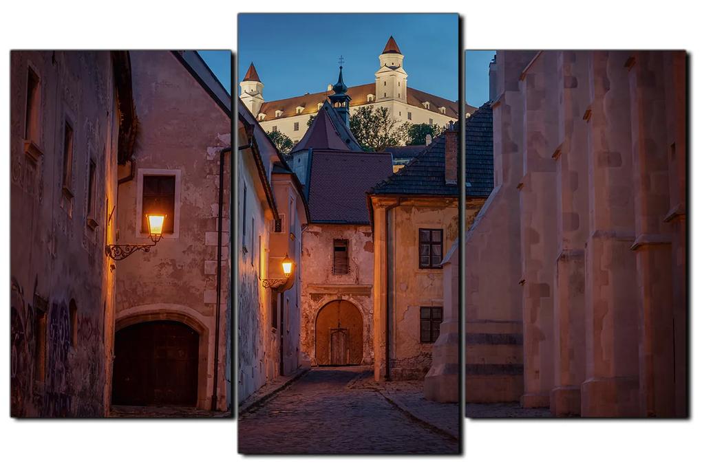 Obraz na plátne - Bratislava staré mesto s hradom vzadu 1265C (135x90 cm)
