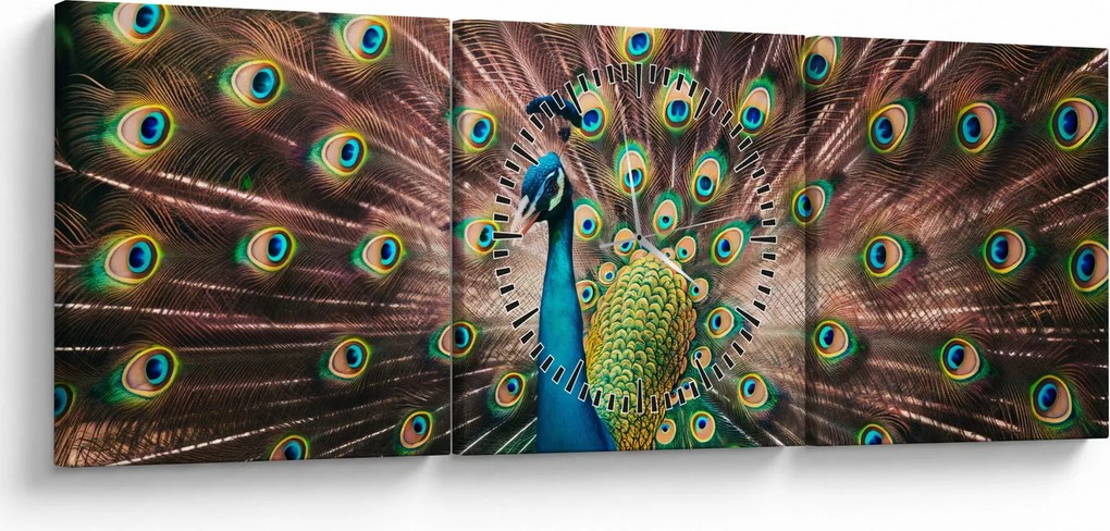 Obraz - Páv (s hodinami) (90x30 cm)