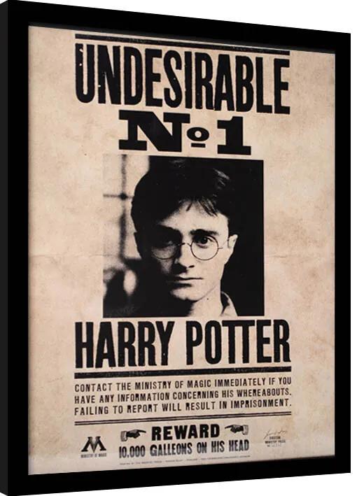 Rámovaný Obraz - Harry Potter - Undesirable N.1