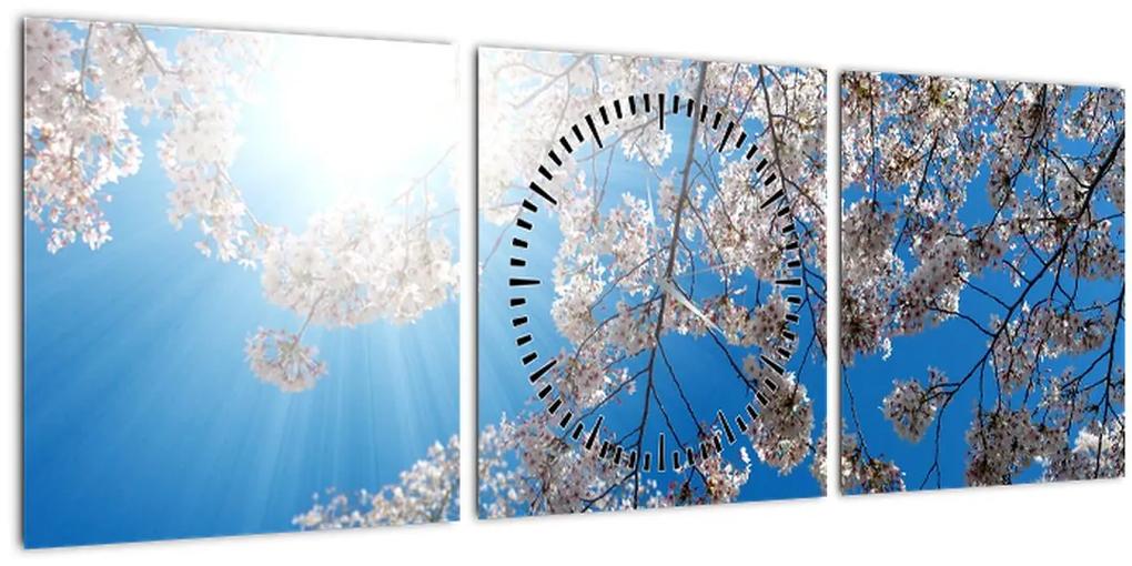 Obraz - Čerešňové kvety (s hodinami) (90x30 cm)