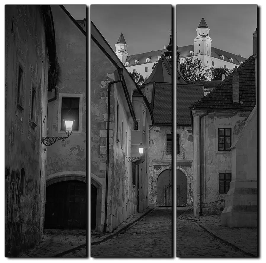 Obraz na plátne - Bratislava staré mesto s hradom vzadu - štvorec 3265QB (105x105 cm)