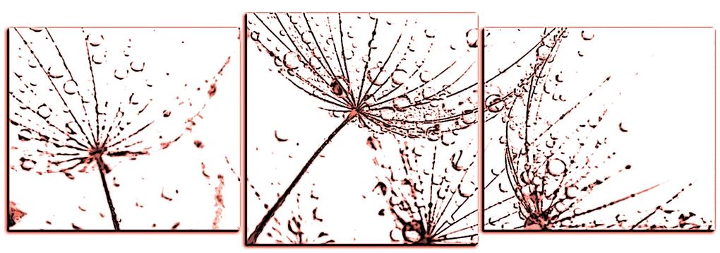 Obraz na plátne - Pampeliškové semienka s kvapkami vody - panoráma 5202KD (120x40 cm)