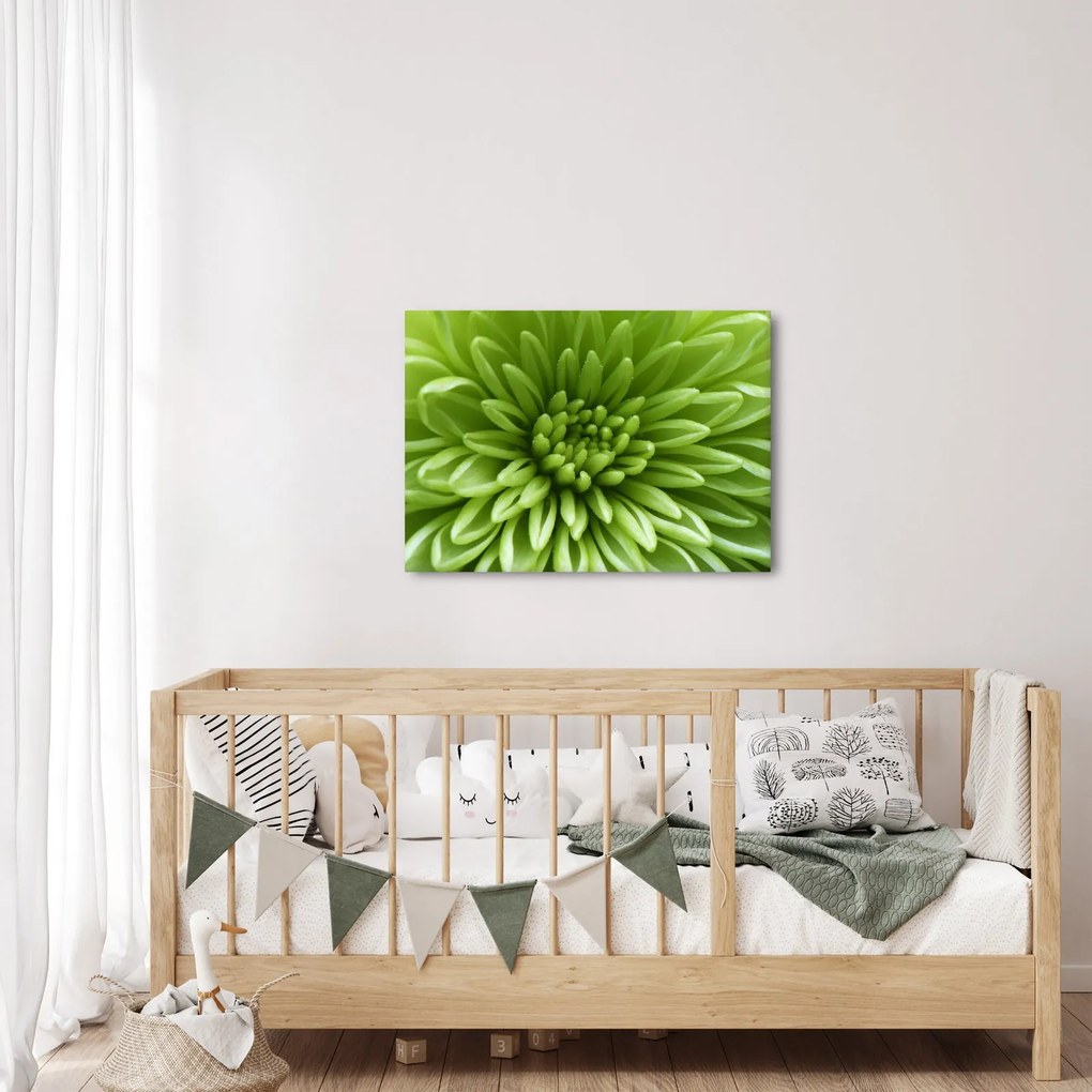 Obraz - Makro snímka rastliny (70x50 cm)