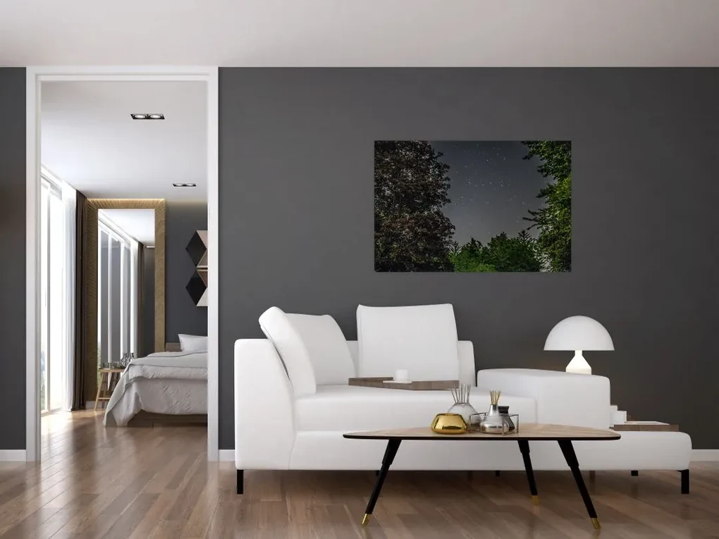 Obraz nočnej oblohy (90x60 cm)