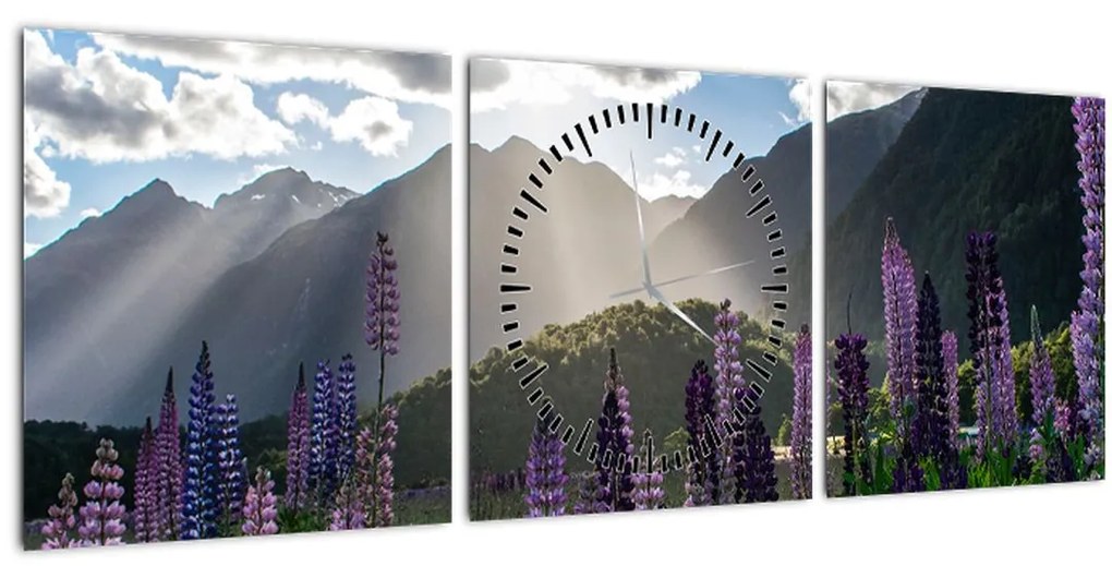 Obraz - Scenérie vlčích bôbov (s hodinami) (90x30 cm)