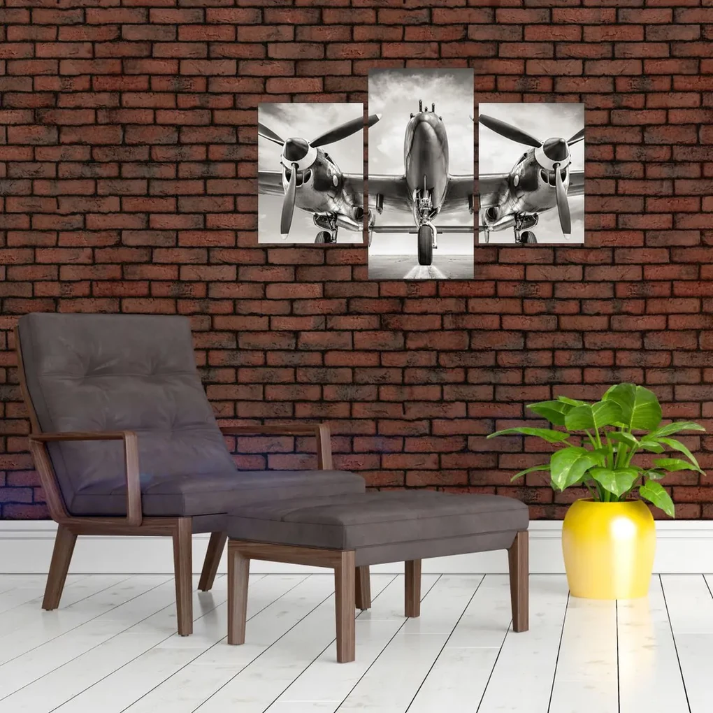 Obraz - Warbird (90x60 cm)