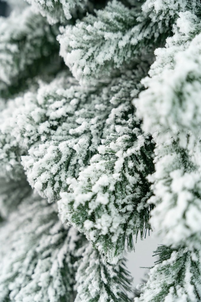 Limpol Horský smrek zasnežený 1,50 m