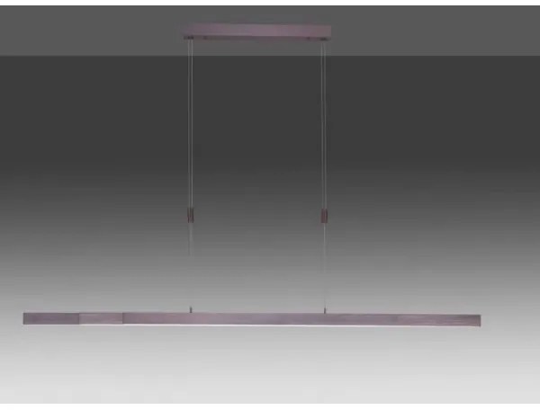 Paul Neuhaus 2568-24 - LED Stmievateľný luster na lanku ADRIANA LED/14W/230V