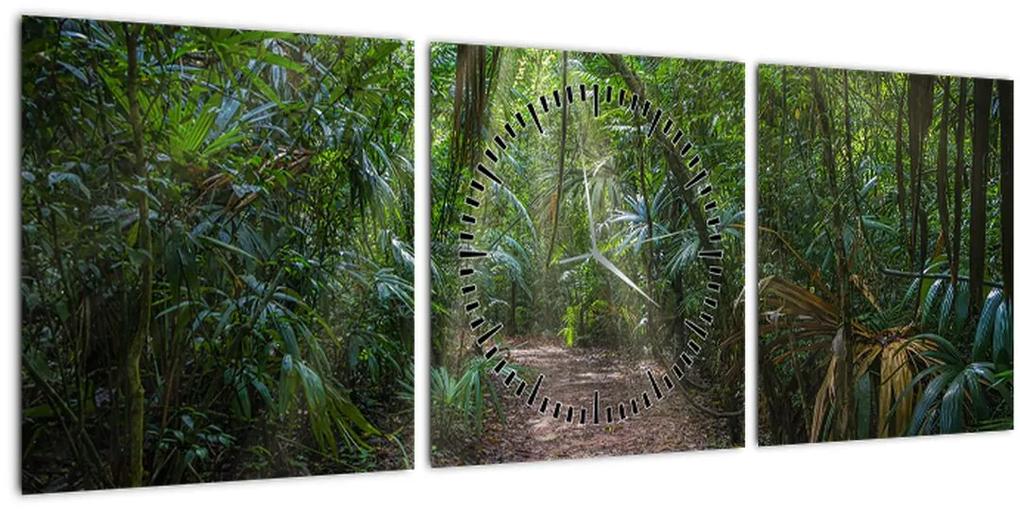 Obraz - Slnečné lúče v džungli (s hodinami) (90x30 cm)