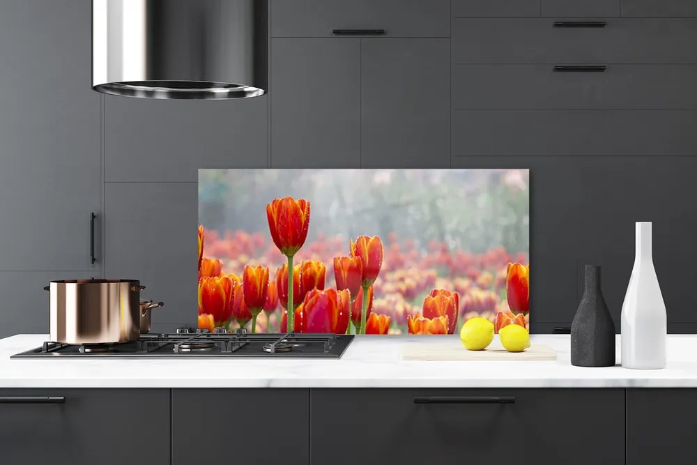 Sklenený obklad Do kuchyne Tulipány kvety rastlina 100x50 cm