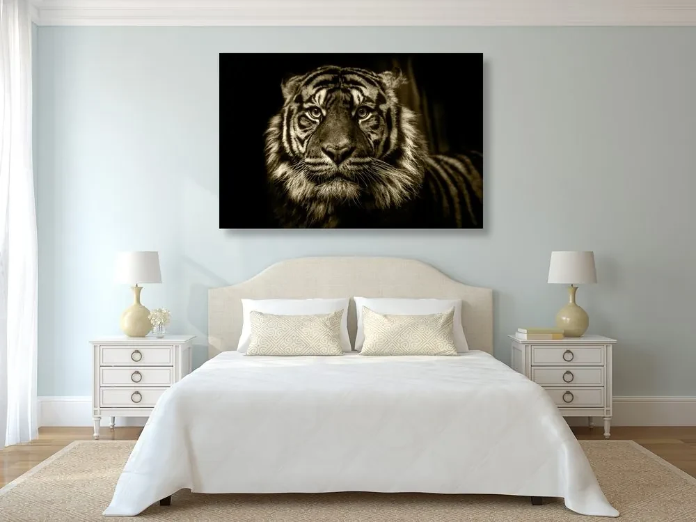 Obraz tiger v sépiovom prevedení