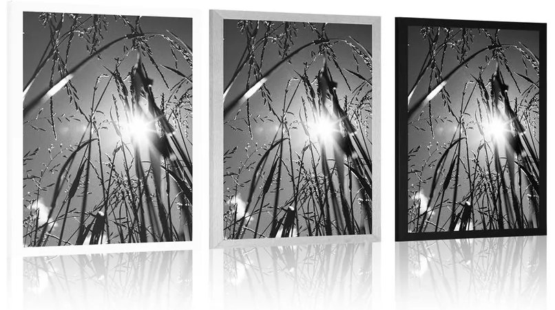 Plagát poľná tráva v čiernobielom prevedení - 60x90 silver