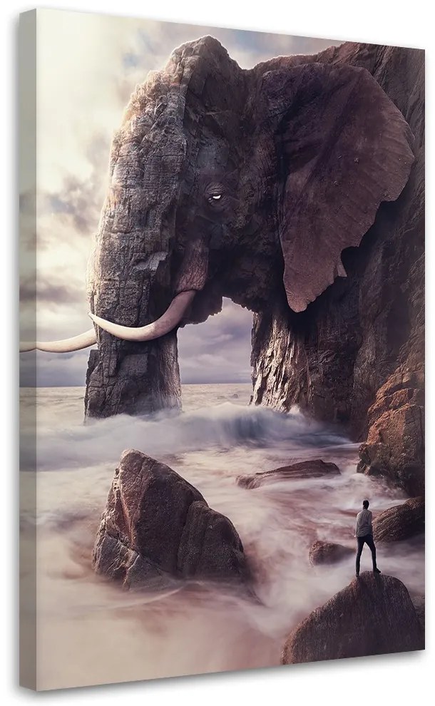 Gario Obraz na plátne Slon v skale - Patryk Andrzejewski Rozmery: 40 x 60 cm