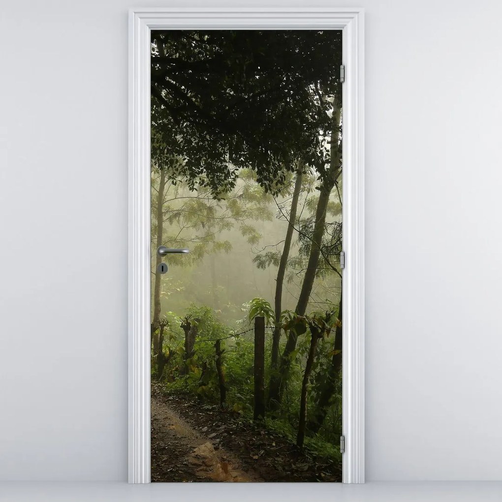Fototapeta na dvere - Ranná hmla (95x205cm)