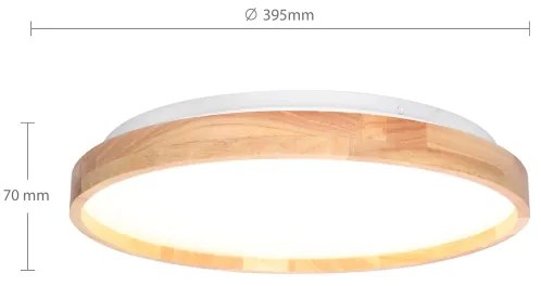 Brilagi - LED stlmiteľné stropné svietidlo ALSON LED/48W/230V 3000-6500K + DO