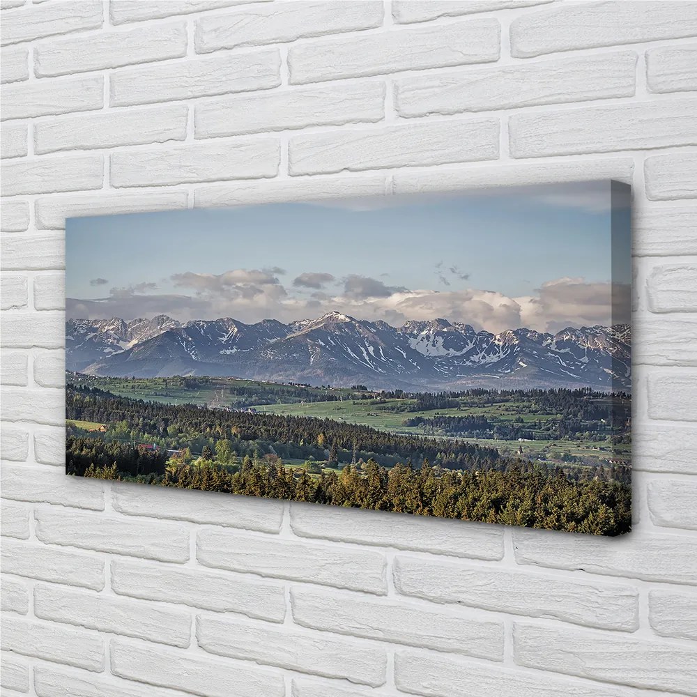 Obraz canvas hory 120x60 cm