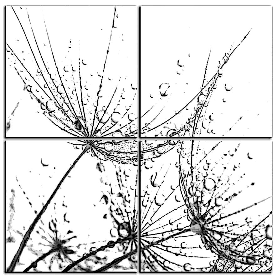 Obraz na plátne - Pampeliškové semienka s kvapkami vody - štvorec 3202QE (100x100 cm)