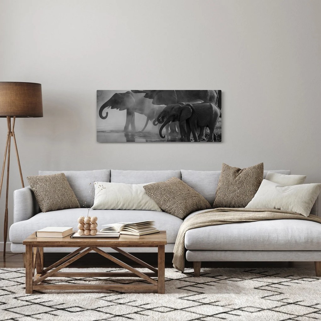 Obraz slonov - čiernobiely (120x50 cm)