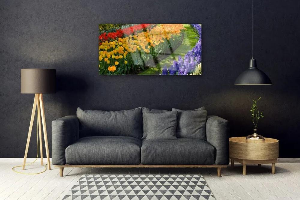 Obraz plexi Kvety záhrada tulipány 100x50 cm