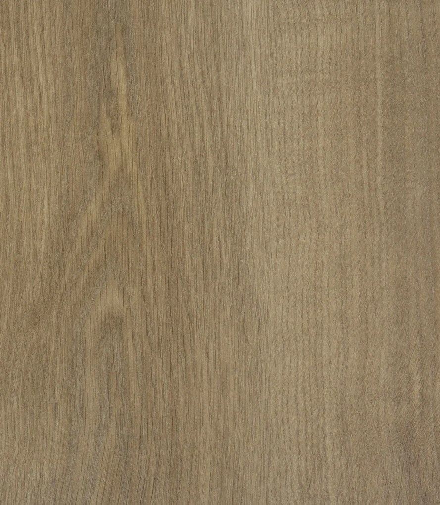 PVC podlaha - lino Logitex Ultimate 55 Elias T47, na mieru, šíře 2m,4m, hnedá, filc, chodba / predsieň, IVC Commercial