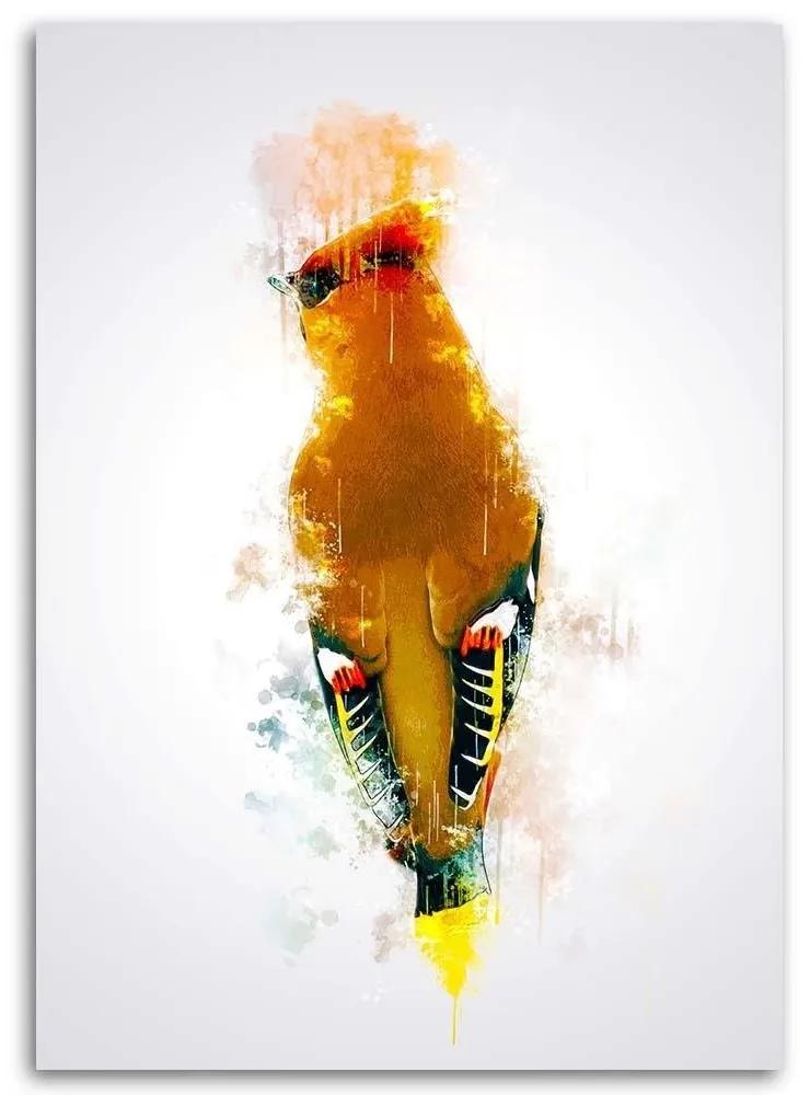 Gario Obraz na plátne Oranžový ďateľ - Cornel Vlad Rozmery: 40 x 60 cm