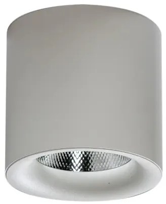 LED bodové svetlo Mane 30W Dimm biele