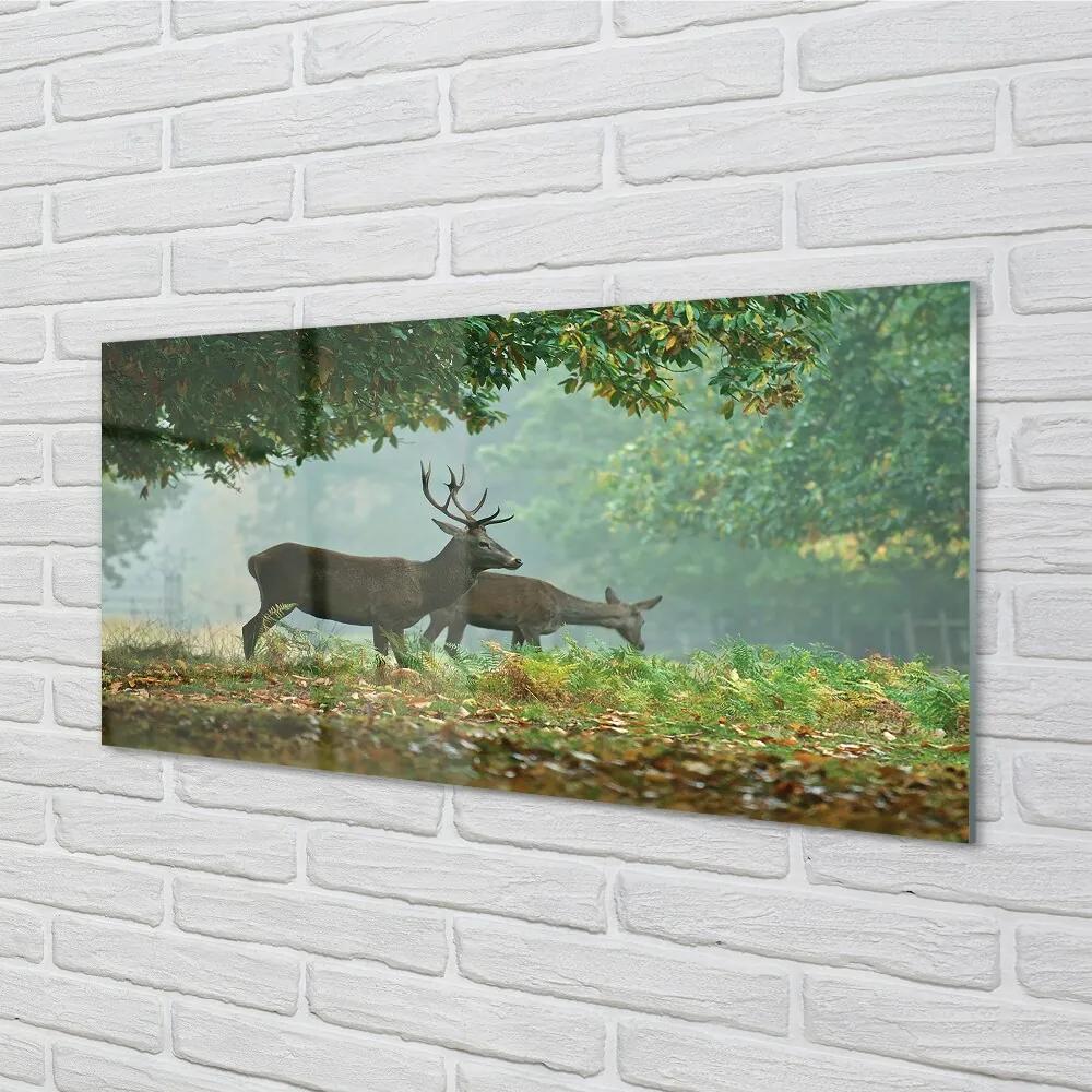 Sklenený obraz Jeleňa na jeseň les 100x50 cm